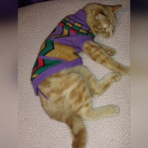 Small knit sweater for small dog.